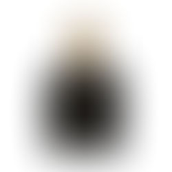 “Reina Midnight: The Bold, Alluring Fragrance for Women Who Own the Night”