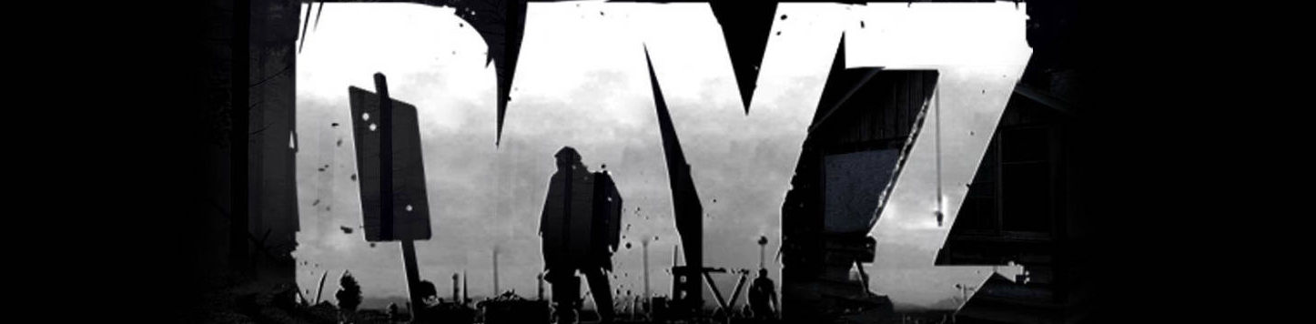 dayz-pictures-xhzeqjfekaumj5a7_edited.jpg
