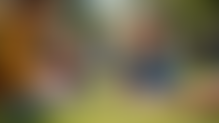 5 Summer Activity Ideas - We hope these ideas help you keep your little stars busy and happy this summer. And remember, for those times when you need an extra hand, whether it's for a wedding, a corporate event, or a private party, Jumping Stars Mobile Creche is here to provide a safe, fun, and engaging environment for your children. Enjoy your summer!