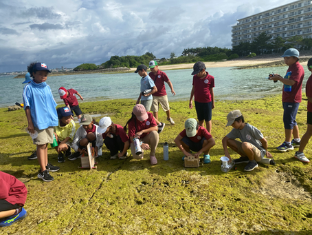 Message from the Principals 9/27/2024