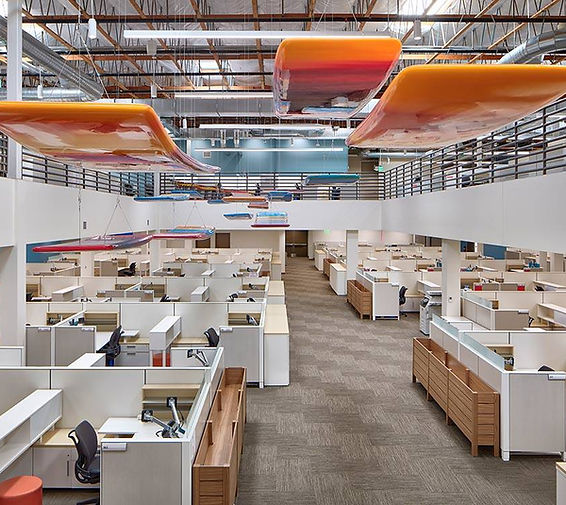 Sharp Copley (Medium).jpg