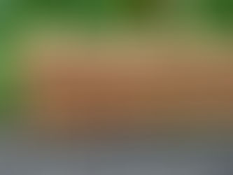 Movement After Surgery: An Ant Story