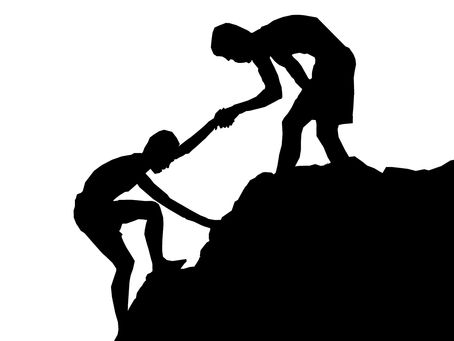 Society and social behaviour