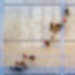 7.La traversée.jpg