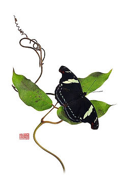 Stéphane-Hette- 325698175_1358695081528338_7239514757113930060_n.jpg