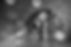 carolereboul_DSC1012.jpeg