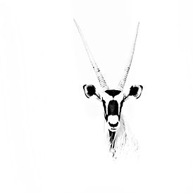 Nathalie Houdin- Encrés en moi 3.jpg