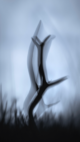 Capture d’écran 2025-02-19 à 14.34.39.png