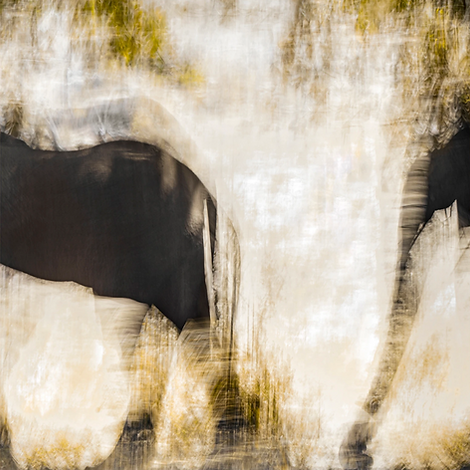 PULSATIONS - Songe - Florence Devaux