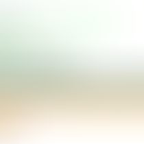 Litmus Research Highlights the Best and Worst Independent Cedants to Reinsure