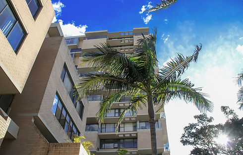 Palm by tower