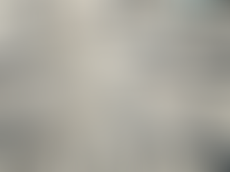 Building Careers: Black Surgeons Mentoring Program Overview