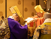 20260422_知恩院-119.jpg