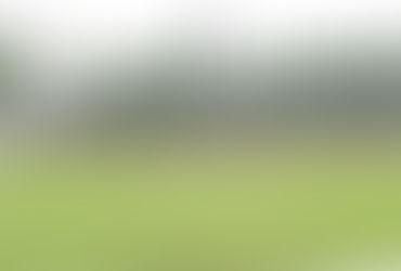 試合結果（2026/8/30）vsオクトパス@上野公園