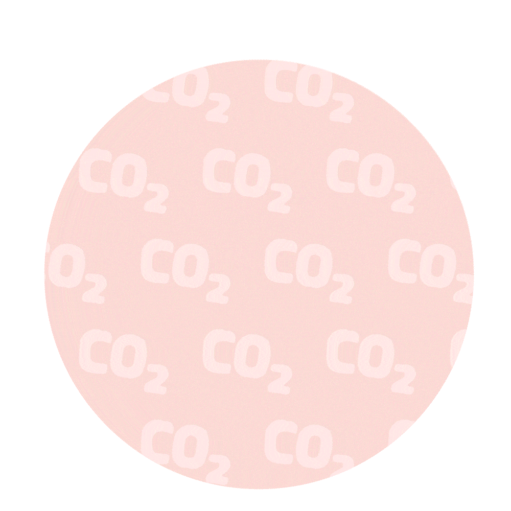 Créditos de carbono comprimido.gif