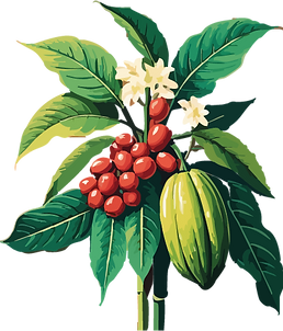 Impaktia 1 colorRecurso 3.png