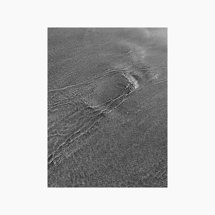 Nature
Simplicity
Analogy Building
Analogiebildung
Change of Perspective
Perspektivenwechsel
Lateral Thinking
Nature Photography
Design and Nature
Sustainable Design
Editorial Design
Graphic Design
Communication Design
Gabriele Gutwirth