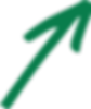 Asset 48.png