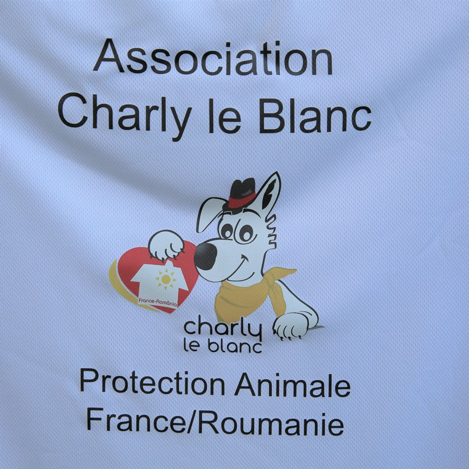 Miniature : Tee-shirt modèle pour femme
