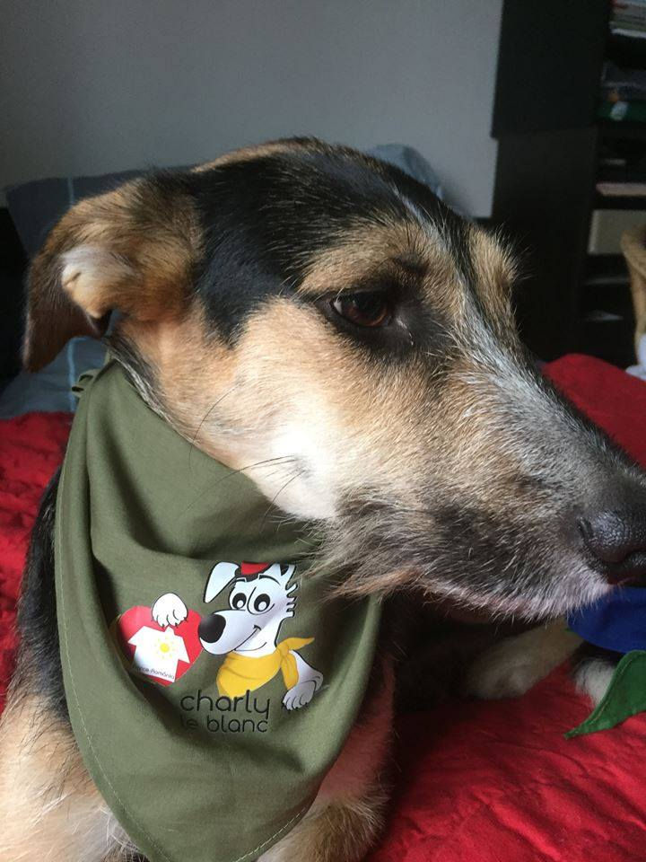 Miniature : Bandana IGOR