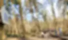 Rando-dating-balise-promenade.webp