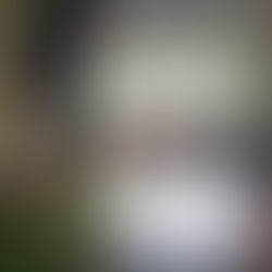 Evolution on the Mat: Unlearning 3 Lessons That Transformed My Approach as a Yoga Teacher