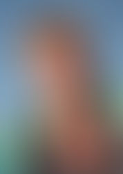 Introducing our guests: Dagmar Abfalter (University of Music and Performing Arts Vienna)