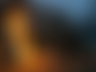 POL-MA: Reilingen/Rhein-Neckar-Kreis: Jugendliche zünden mobile Toilette an