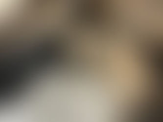 POL-MA: Heidelberg-Bahnstadt: Entlaufener Hund wohlbehalten an Herrchen übergeben