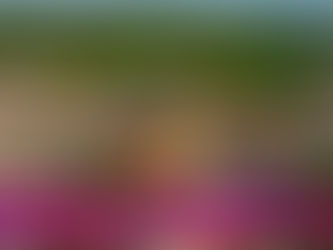 POL-MA: Rauenberg: Zwei Männer nach Überfall auf 57-Jährigen in Untersuchungshaft