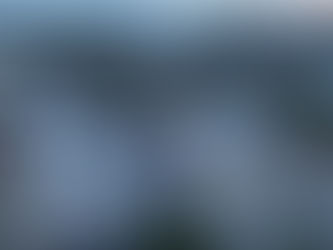 Eppelheim, Rhein-Neckar-Halle - Abriss 20.03.2024