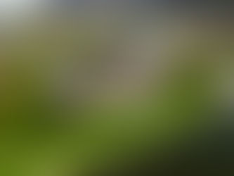 POL-MA: Heidelberg: Gutgläubiger Fußgänger wird um 1.000 Euro betrogen - Zeugen gesucht