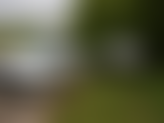 POL-MA: Mannheim: Überladener Anhänger verursacht Unfall