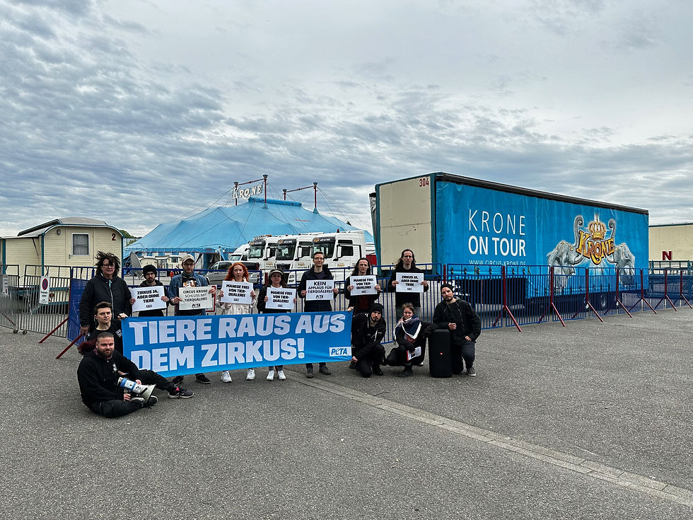 PETA Streetteam protestiert an drei Tagen in Heidelberg gegen Tierleid bei Circus Krone und fordert Umstellung auf tierfreies Programm