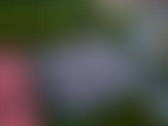 Wieslocher Festplatz wird zum Kunstrasenfeld – Gemeinderat gibt grünes Licht