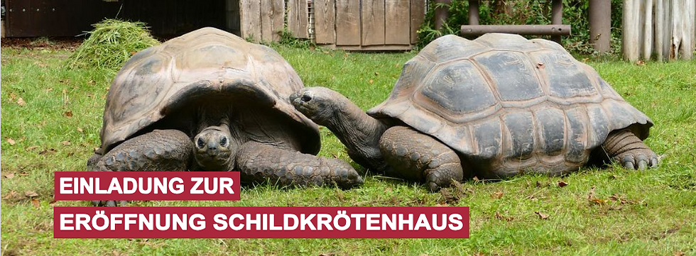 Zoo Heidelberg - ERÖFFNUNG DES NEUEN SCHILDKRÖTENHAUSES Donnerstag, 05. November 2026, 14.00 Uhr, Schildkrötenhaus