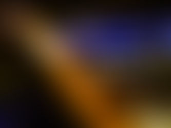 POL-MA: Heidelberg: Einbruch in Restaurant - Zeugen gesucht