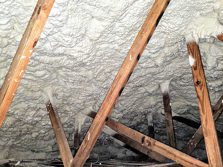 Spray Foamed Existing Attic.jpg