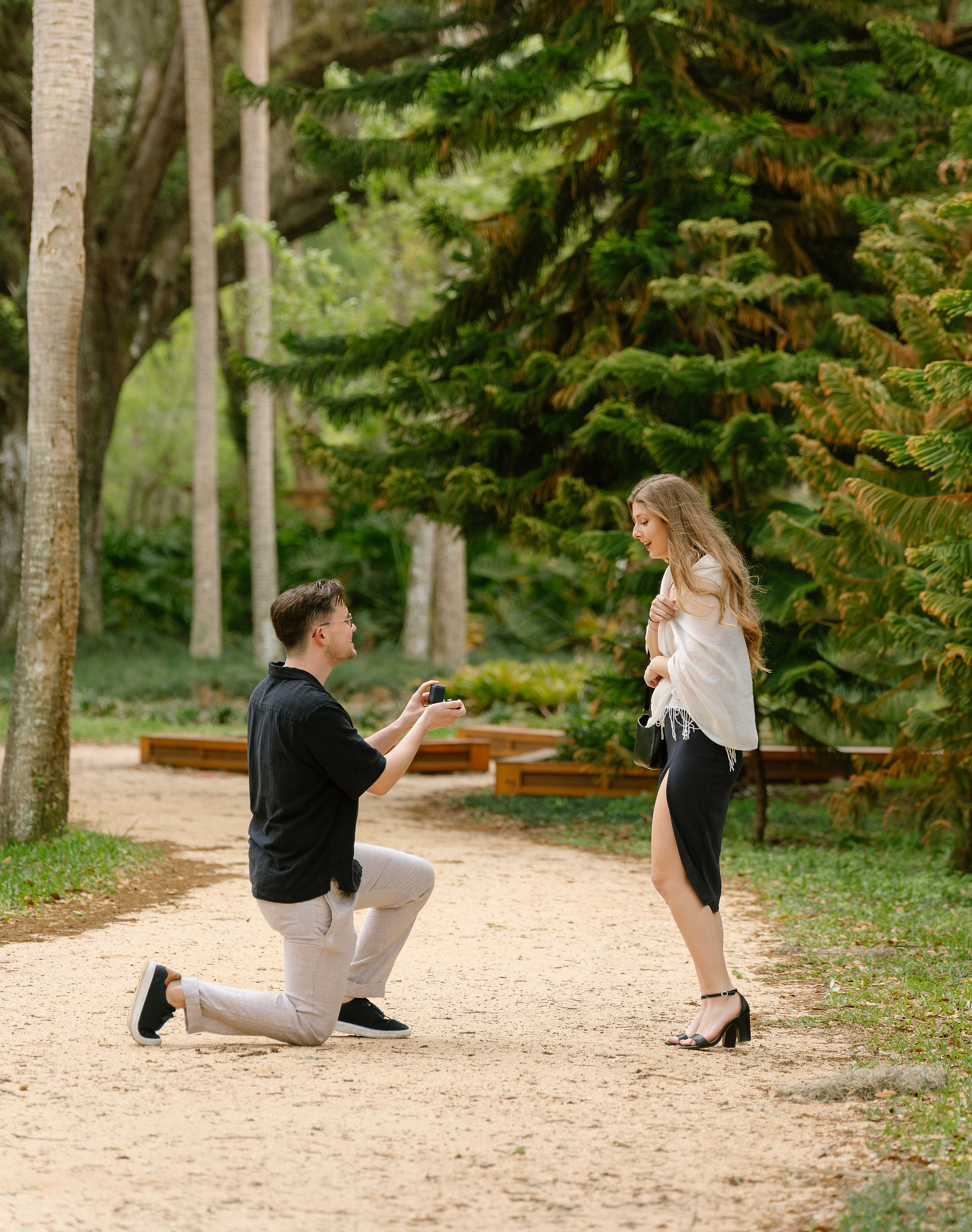 Proposal at Washington Oaks Gardens State Park, Florida captured by a Flagler Beach Photographer.