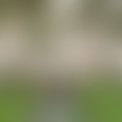 Top 5 Places to Have Your Elopement Ceremony in St. Augustine, FL