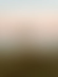 What to Wear for Beach Engagement Photos in Florida (Outfit Guide + Tips)