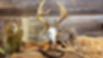 Replica miniature deer skull replica, antlers, and bullets on wood