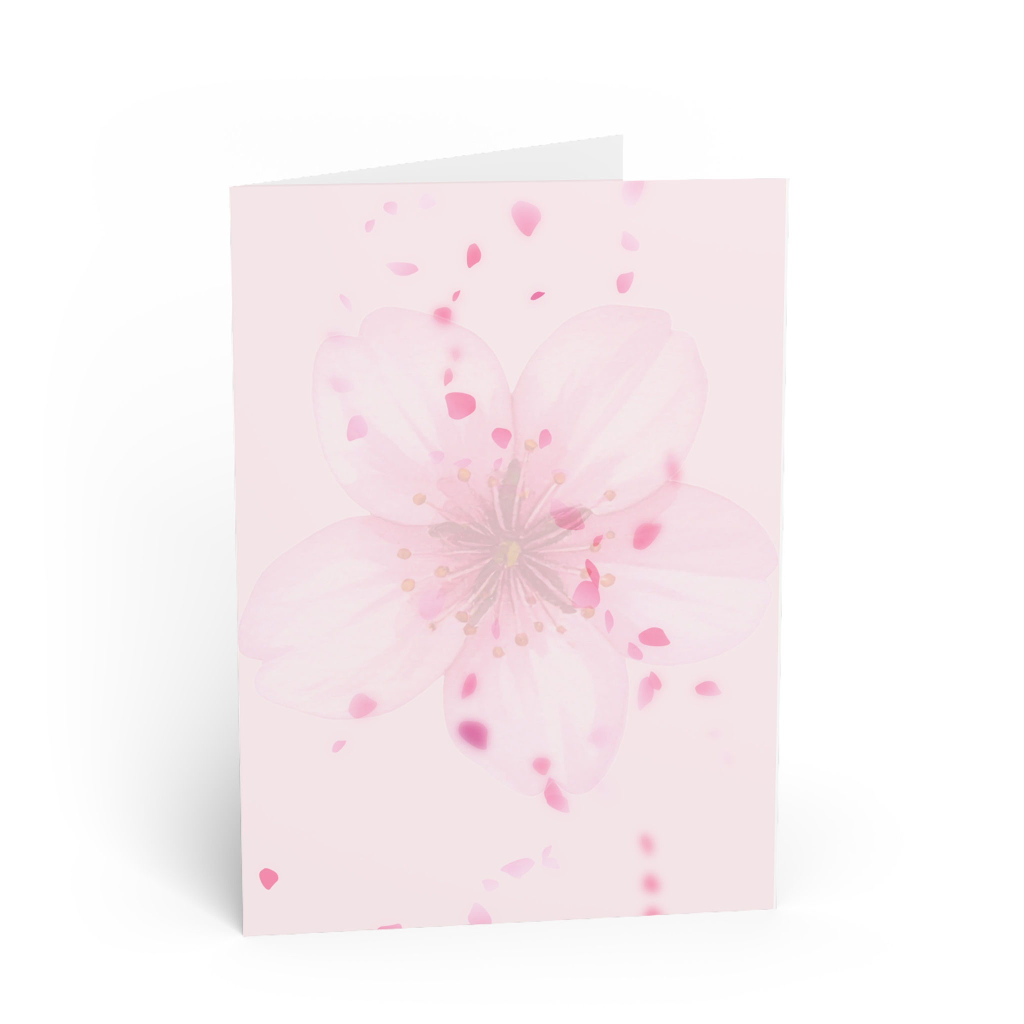 Greeting Card - Pink Cherry Blossom Floral Note Card (Blank Inside)