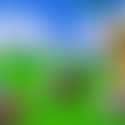 I Want to Live in the Chao Gardens