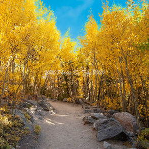 Get to Know Tom Taylor of WM Photos