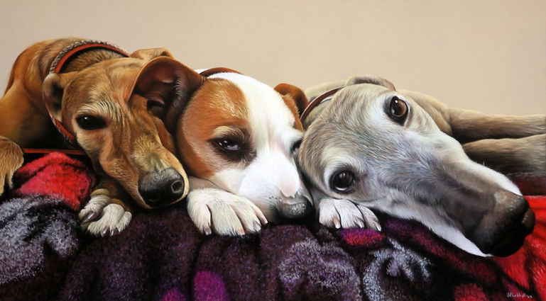 A pet portrait painting of two greyhounds and a Staffordshire Bull Terrier, by Sophie Parkhill | SP Wildlife Art