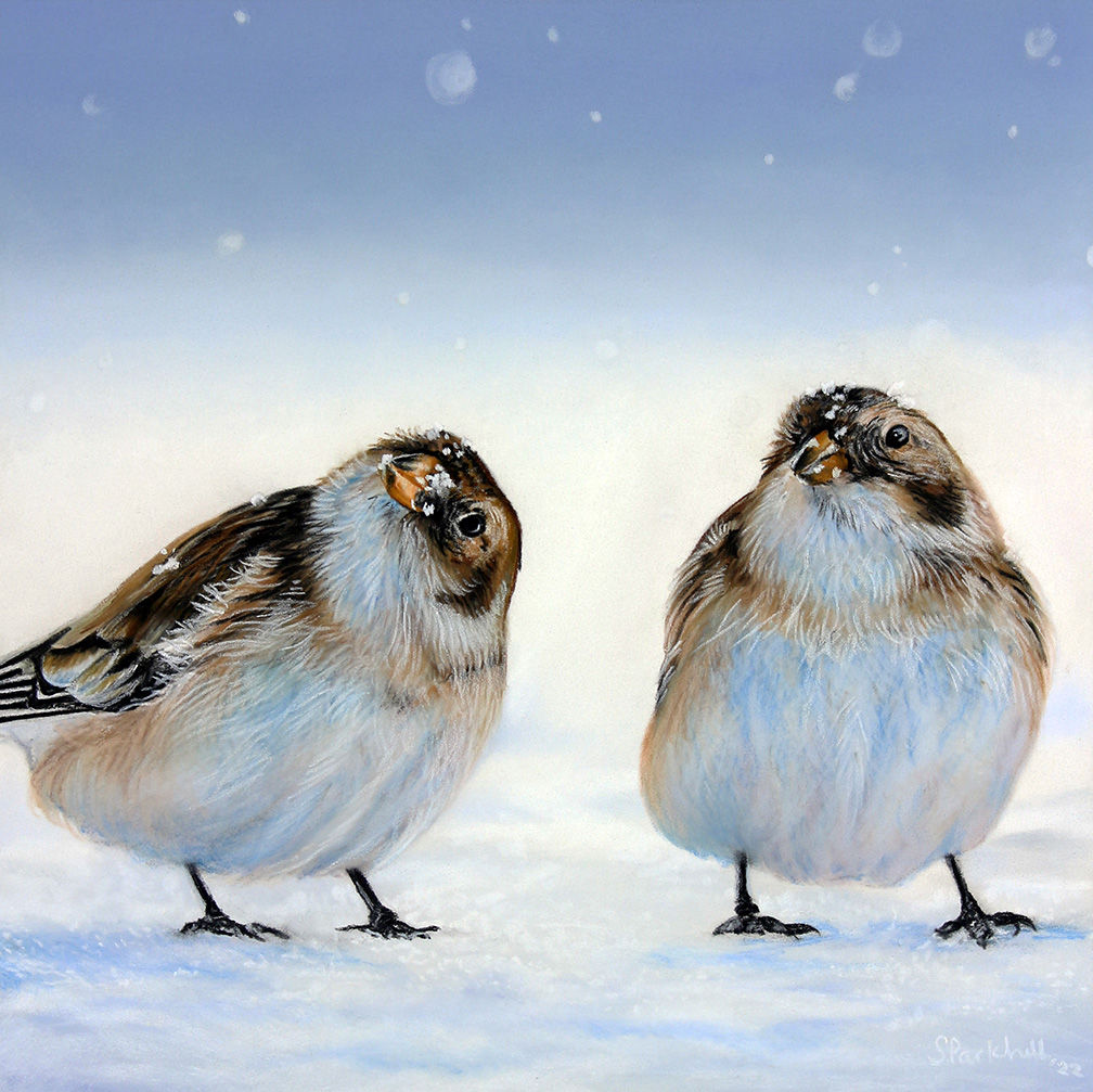 A limited edition giclee print of a pair of Snow Bunting birds titled Winter Walks, painted by Sophie Parkhill