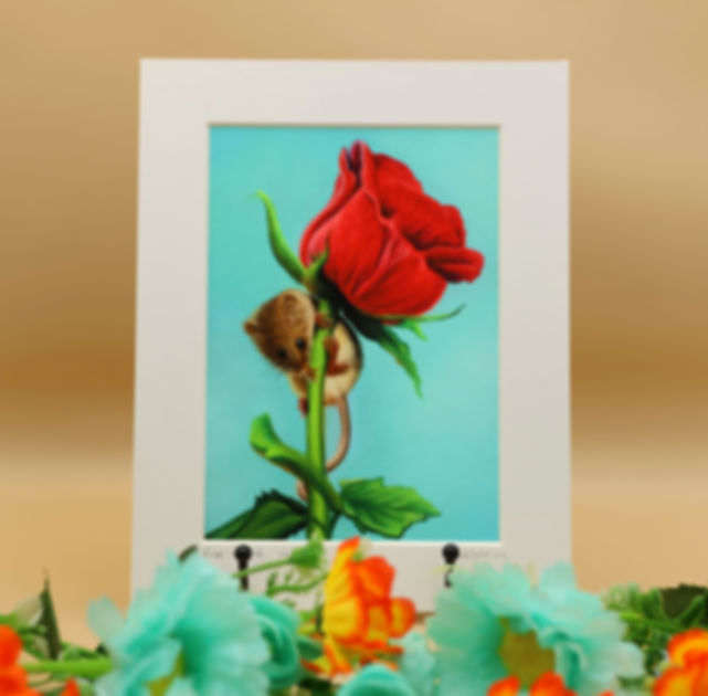 A limited edition art print of a sweet harvest mouse climbing a red rose stem. By Sophie Parkhill of SP Wildlife Art