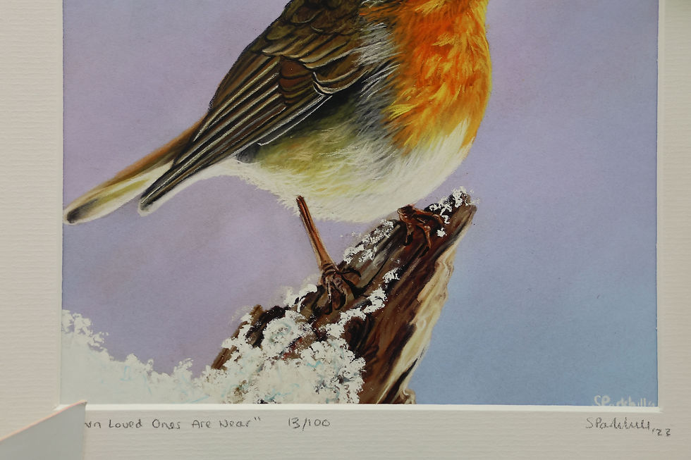 Thumbnail: An 8 x 8 inch giclee art print of a Robin called When Loved Ones Are Near, painted by SP Wildlife Art