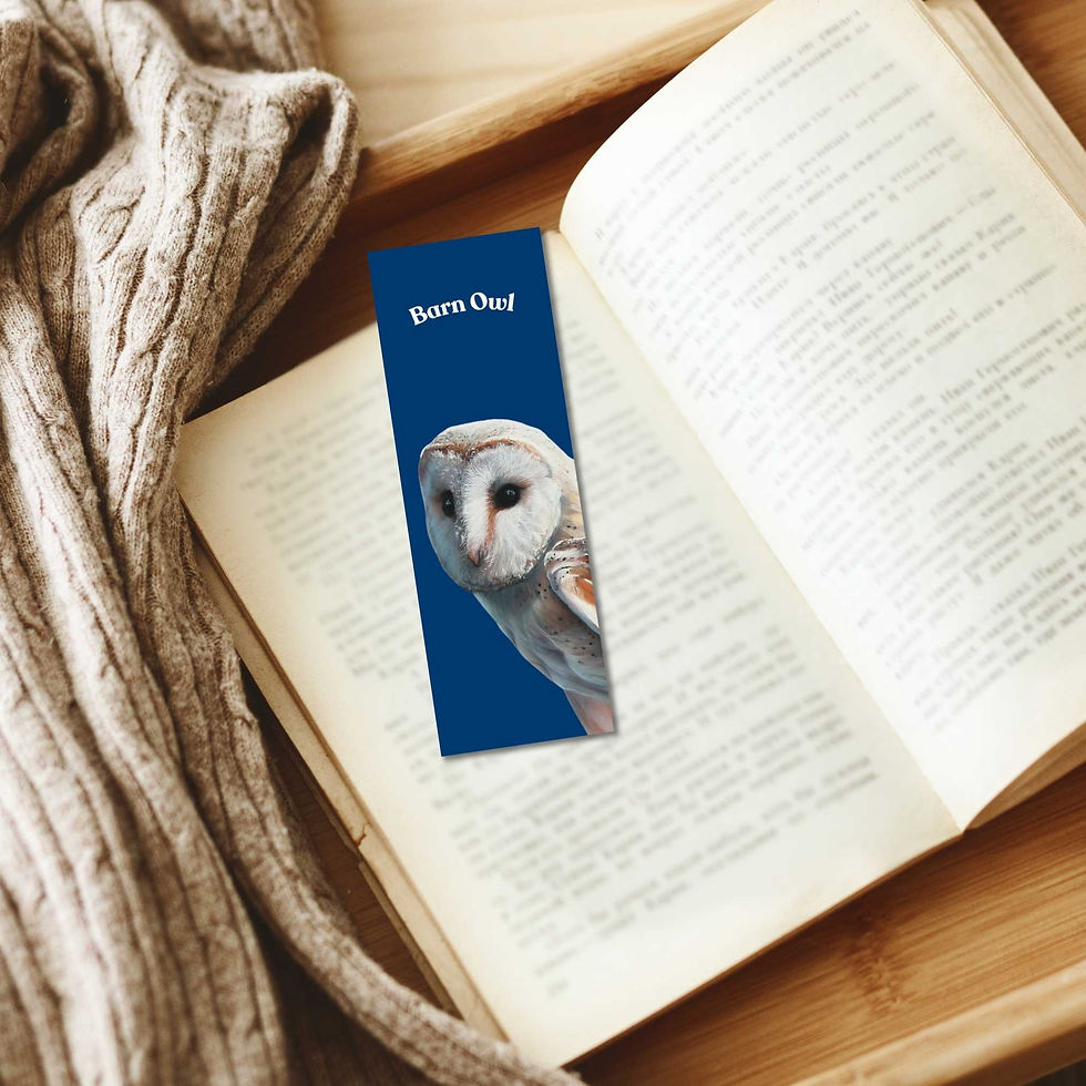 Thumbnail: A barn owl bookmark with a print of an award winning painting by Sophie Parkhill of SP Wildlife Art